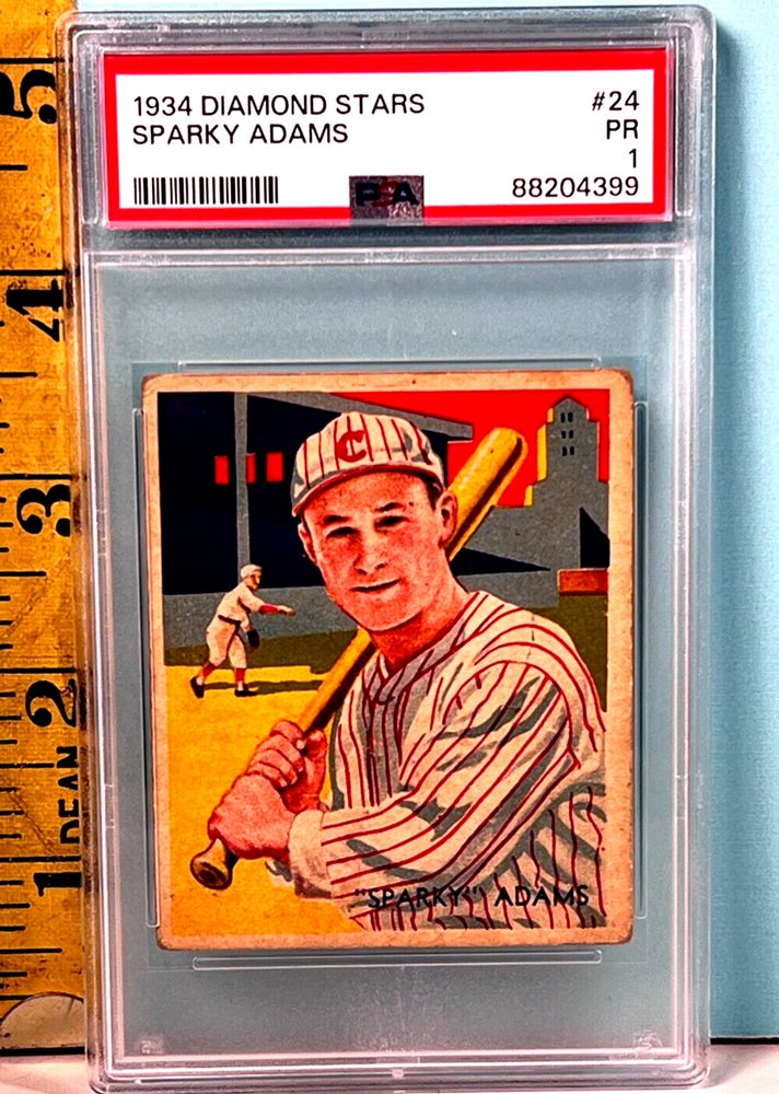 chubbycatcollectibles