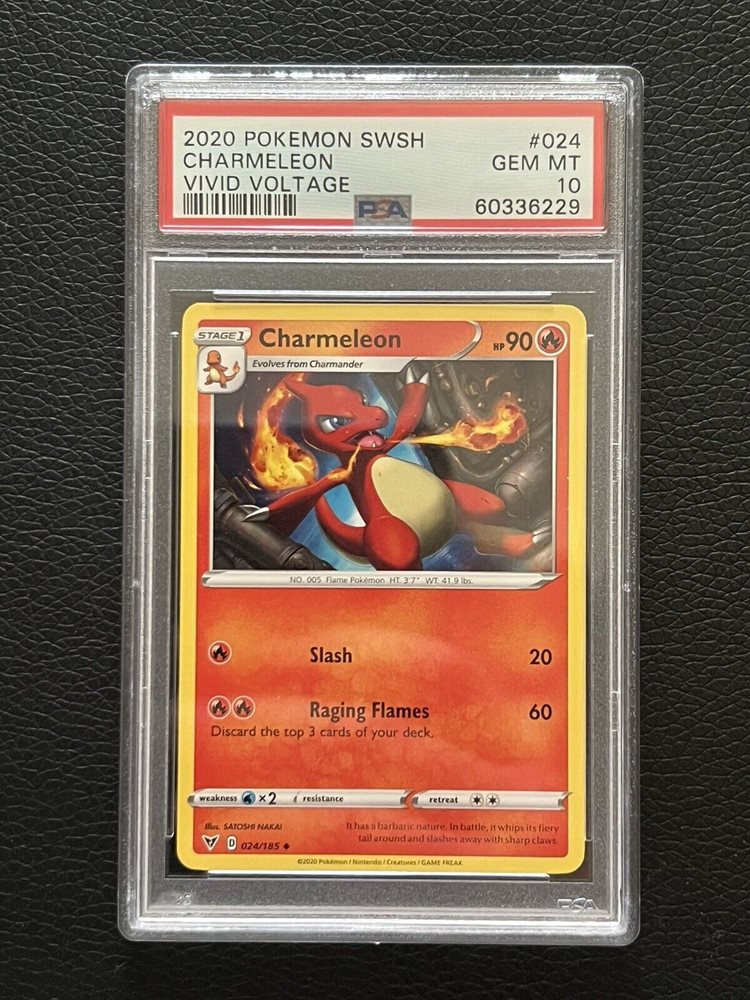 value of charmeleon pokemon card Charmeleon Shadowless 24/102 Base Set Pokémon Cards – CollexyLux –  CollexyLux.dk main image 1