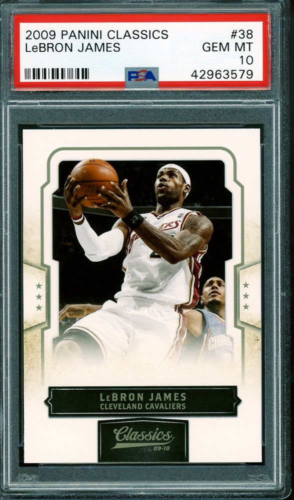 thecardboardcollective