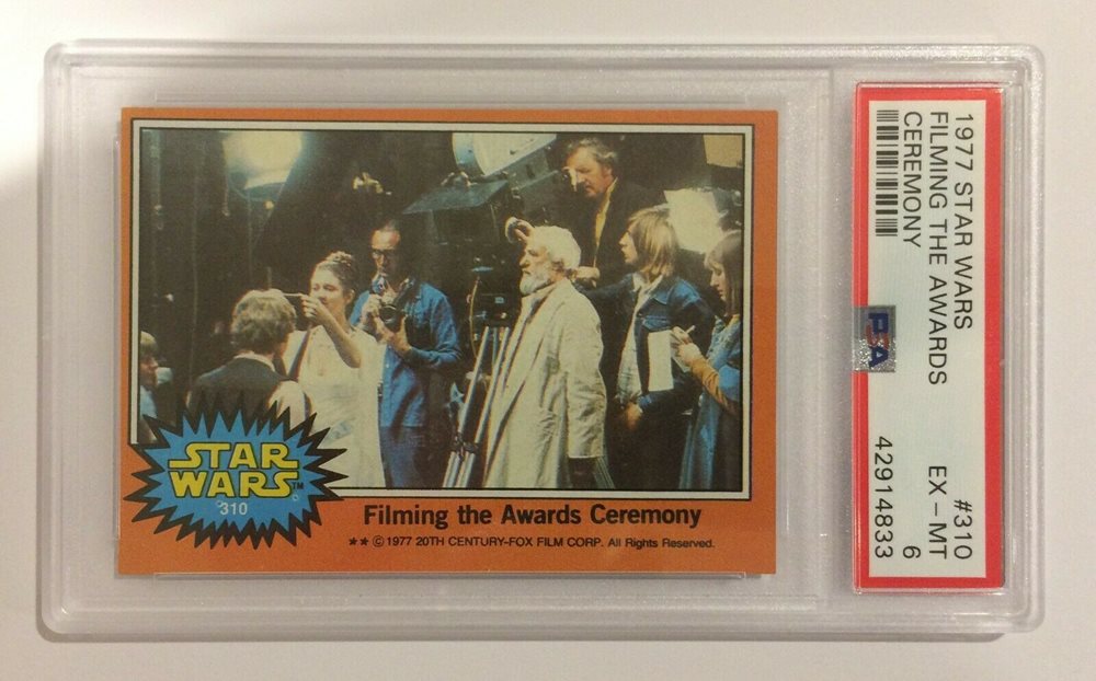 forest-moon-collectables