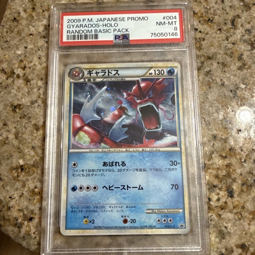 Auction Prices Realized Tcg Cards 2009 POKEMON JAPANESE