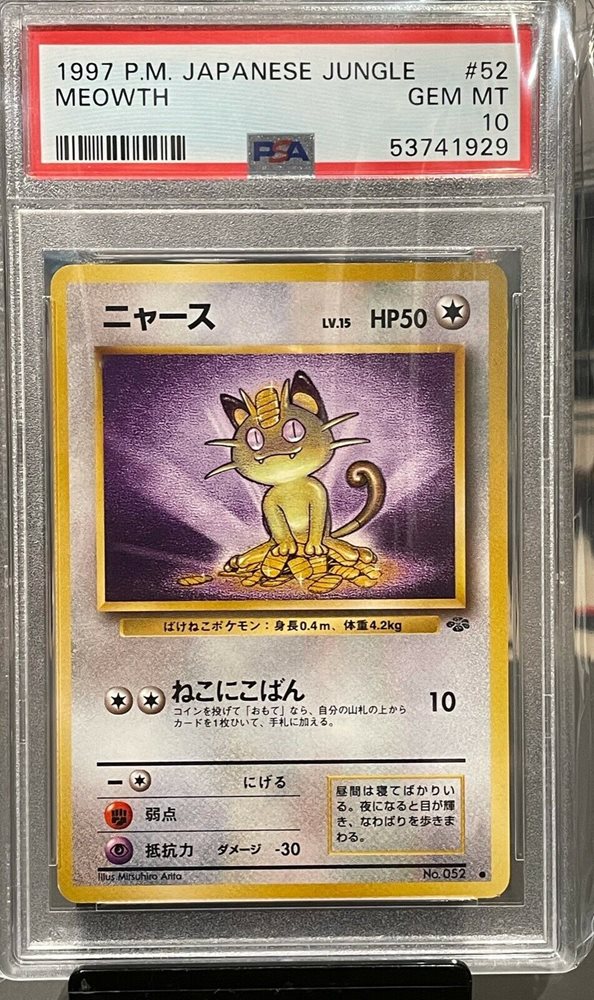 *collectordreams*