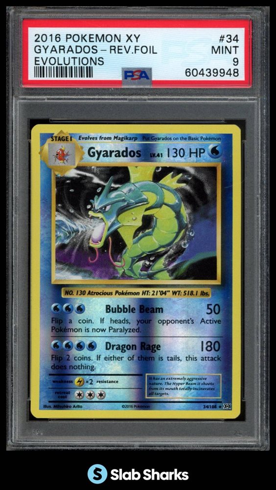 slabsharksinc