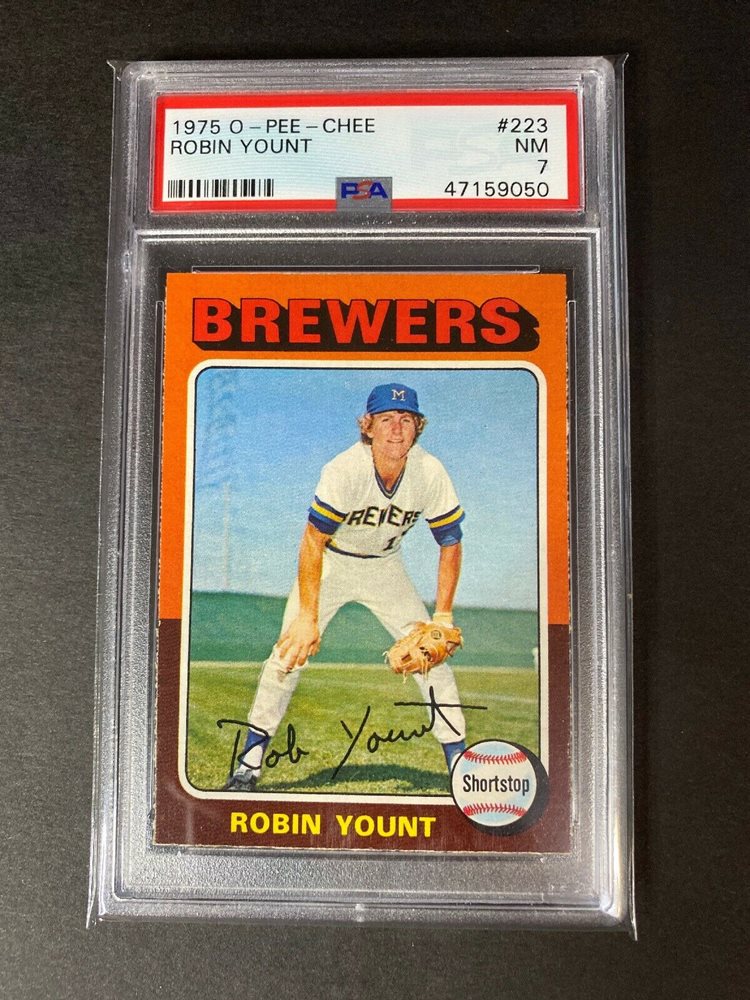 blackbeardsportscards