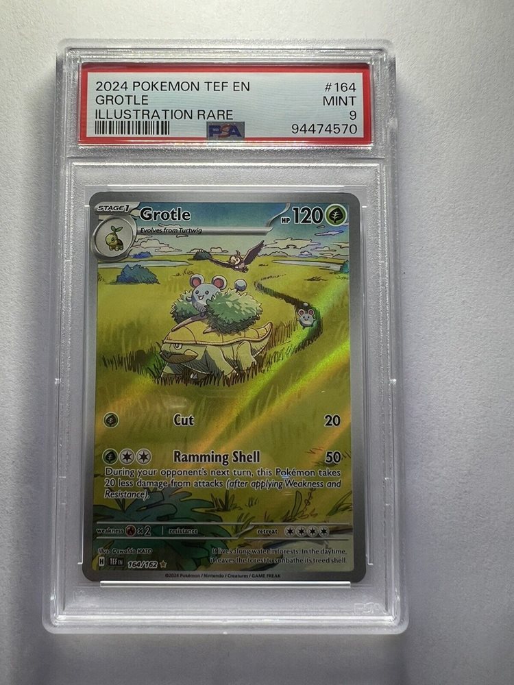 pokemon grotle card Grotle Illustration Rare Temporal Forces 164/162, NM Pokemon Card