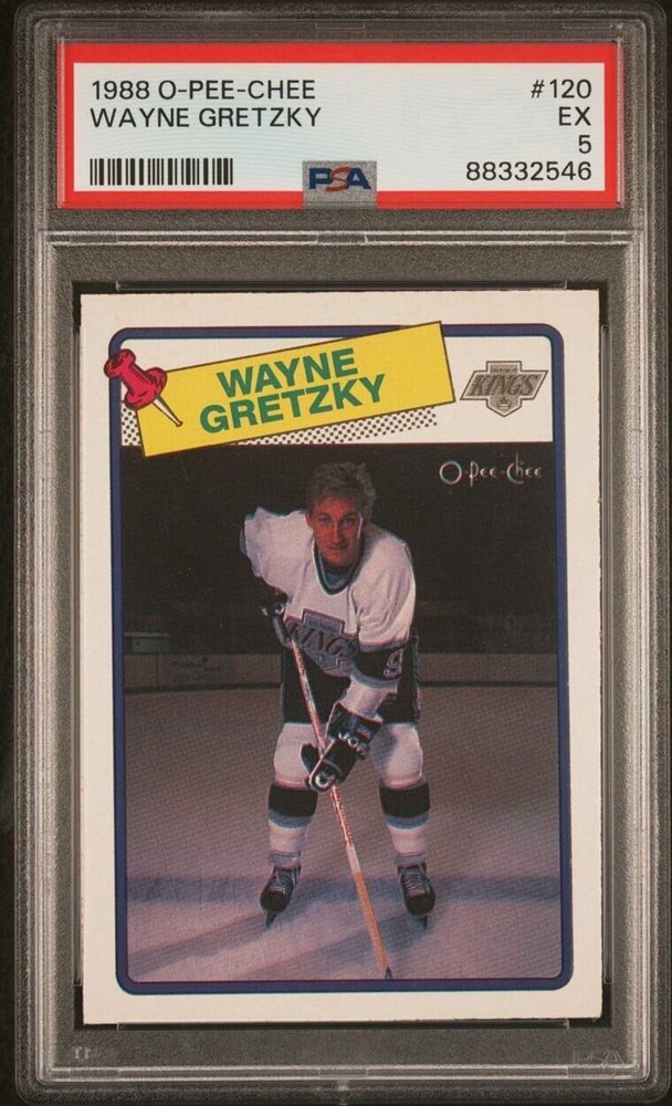 canosportscards