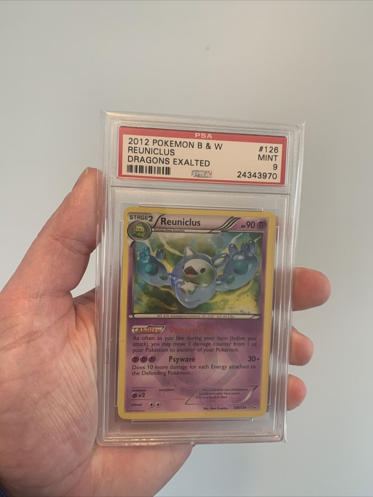 prospectsincorperated