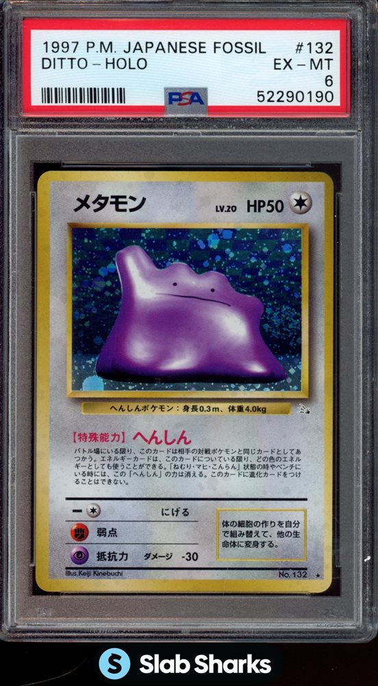 slabsharksinc