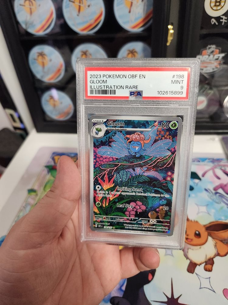 cardscollectiblessportsandmore