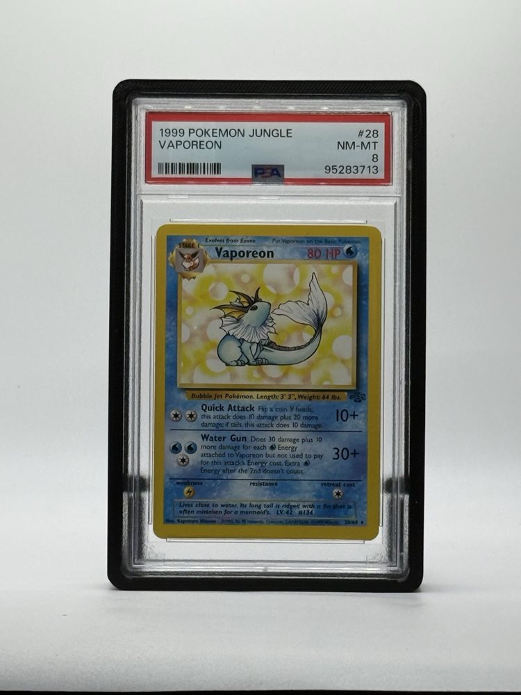 ray65138613