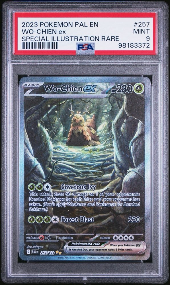 eljefecollectibles805