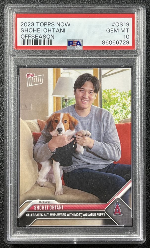 mc_sportscards
