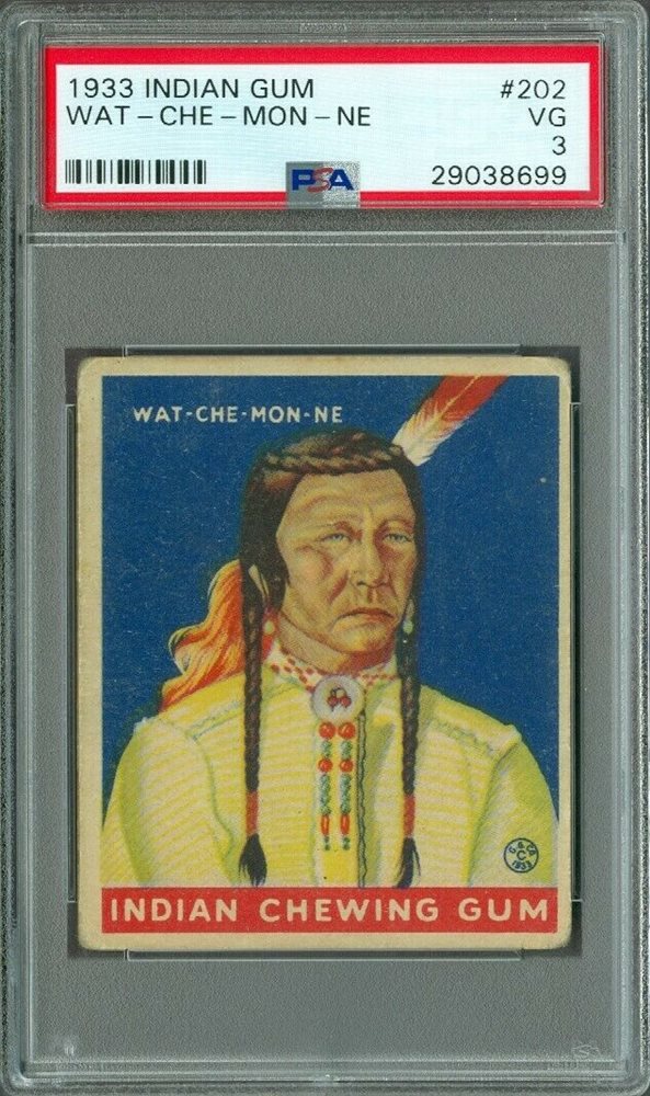tampabay-cards