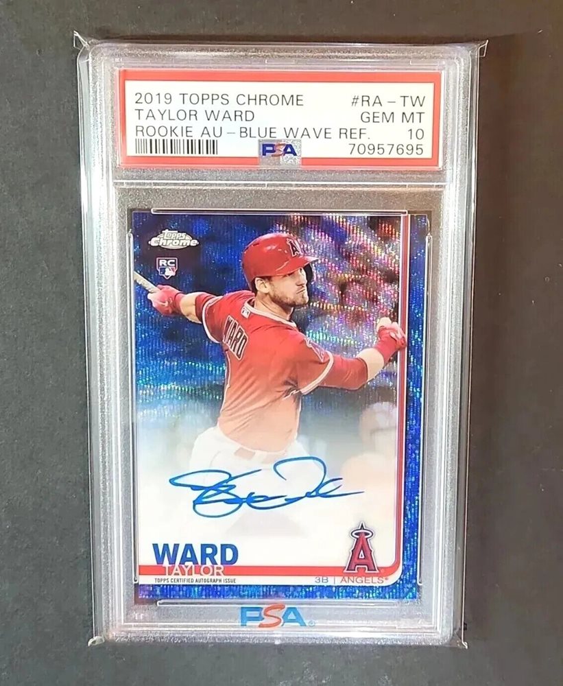 hot_doggie_collectibles